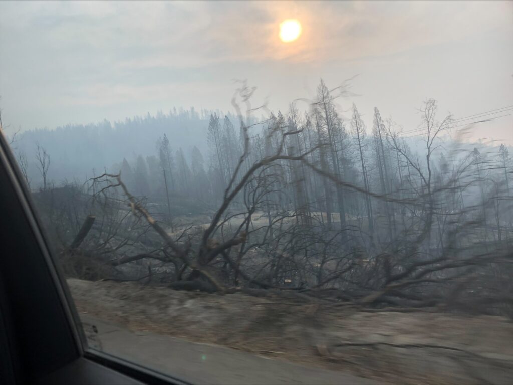 Burnt, fallen trees cover blacked hills, with a heavy haze of smoke all around.